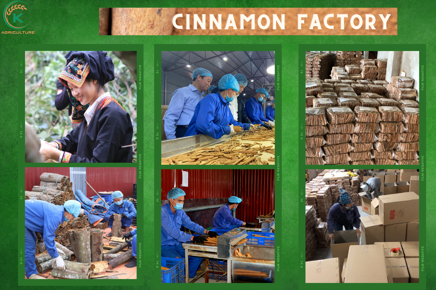 cinnamon-powder-factory-2.jpg