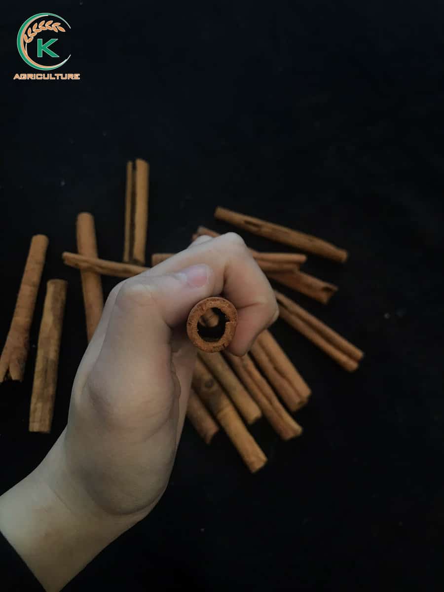 finger-cinnamon-4.jpg
