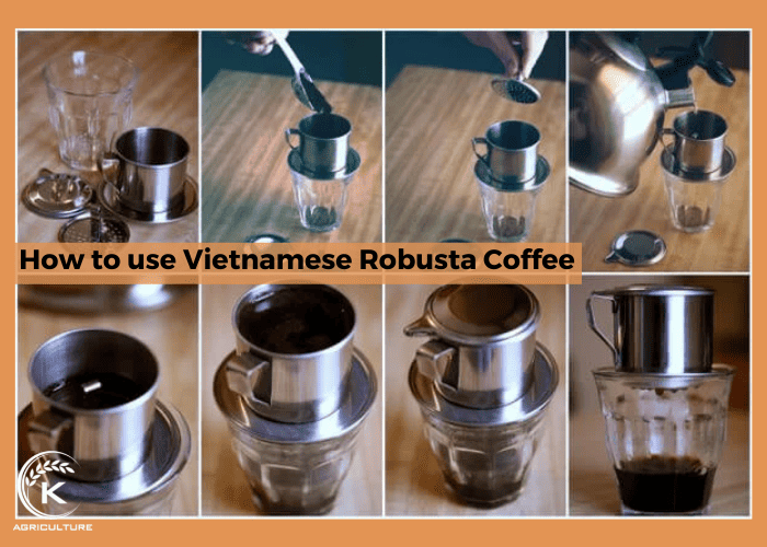 Vietnamese-robusta-coffee-04