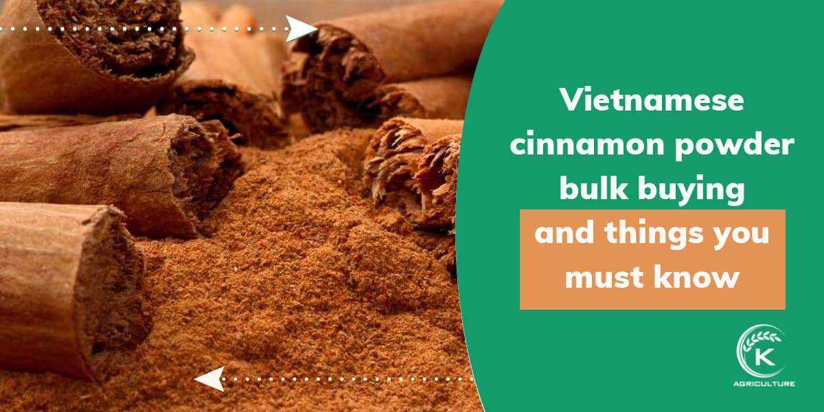 Frontier Co-op Organic Vietnamese Cinnamon Powder – 16 Oz (453 G), Premium Grade, Exp 02/2028
