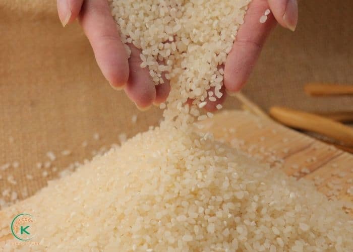 rice-suppliers-3.jpg