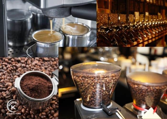 Vietnamese-coffee-production-16