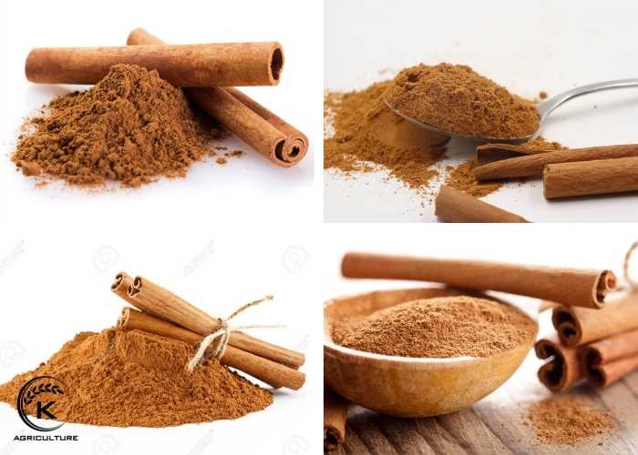 cinnamon-powder-bulk-1.jpg