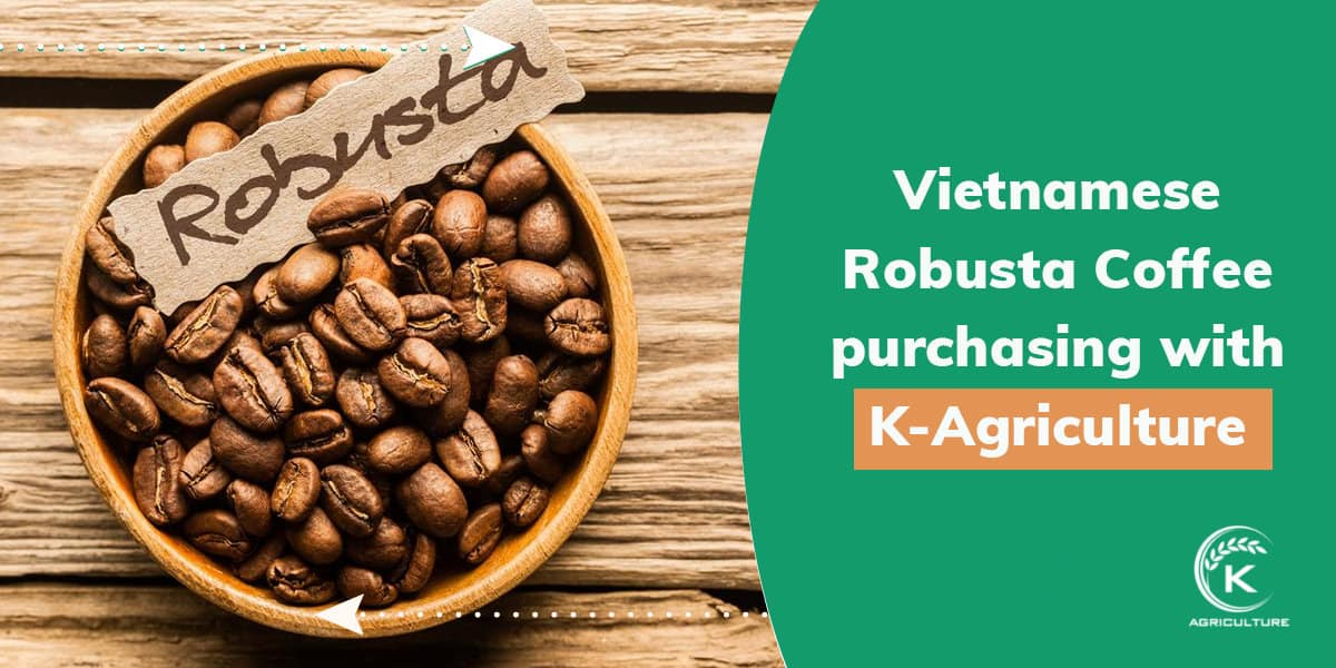 Curated visual reference: Fresh Look at Vietnamese Robusta Coffee And Information You Should Know