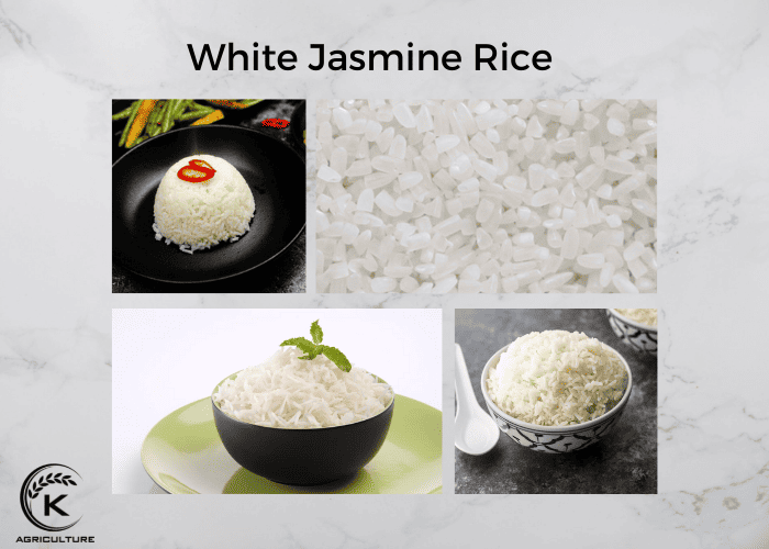 long-grain-rice-jasmine-4.jpg