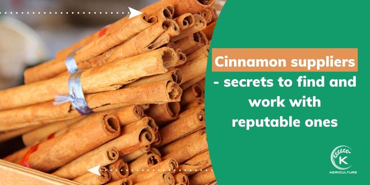 Cinnamon suppliers