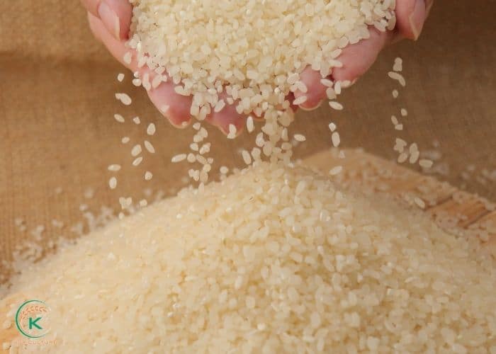 wholesale-organic-rice-1.jpg