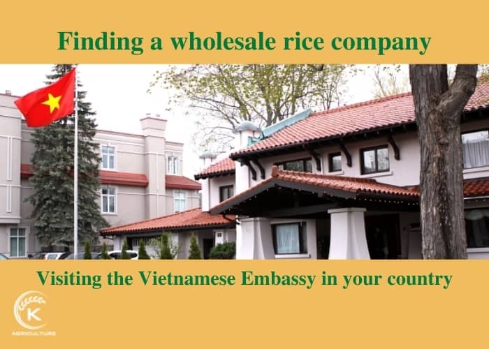 wholesale-rice-company-19.jpg