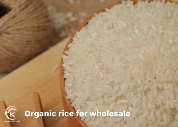 wholesale-organic-rice-3.jpg