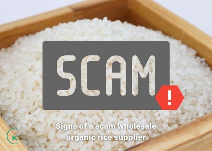 wholesale-organic-rice-12.jpg