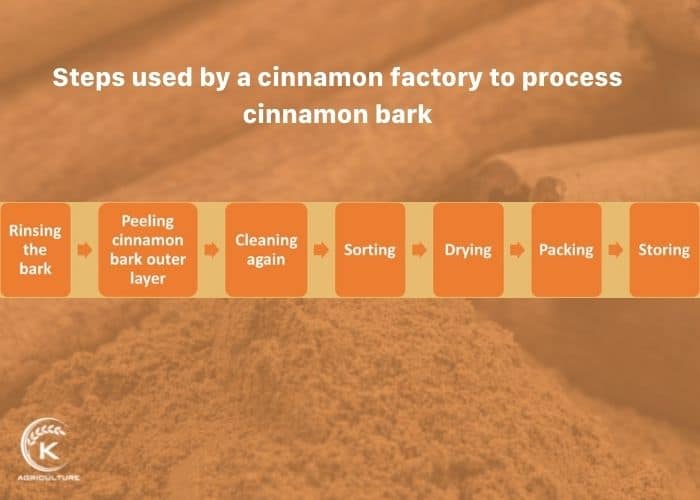 cinnamon-factory-4.jpg