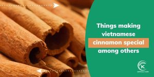 vietnamese cinnamon