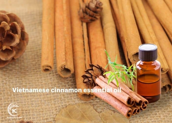 vietnamese-cinnamon-8.jpg