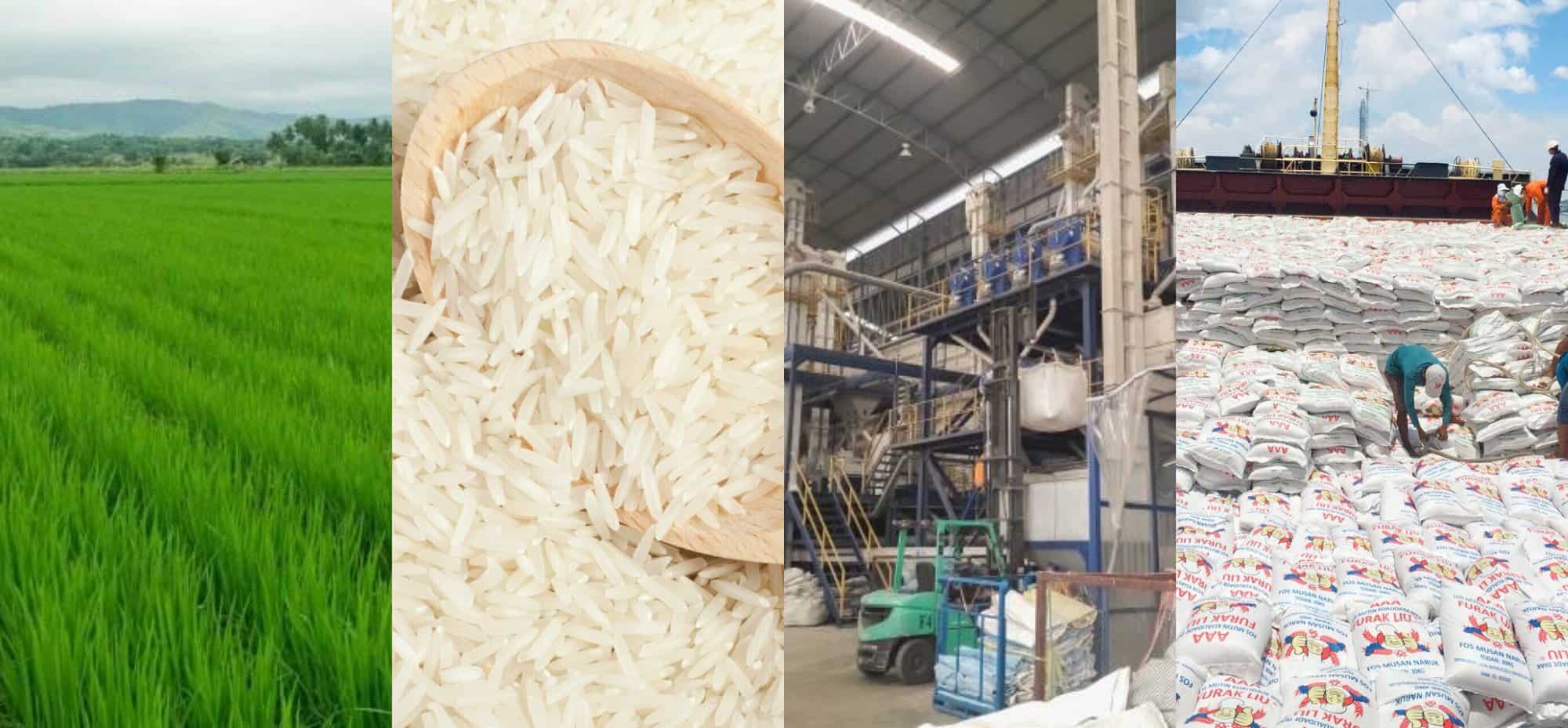 wholesale-organic-rice-3