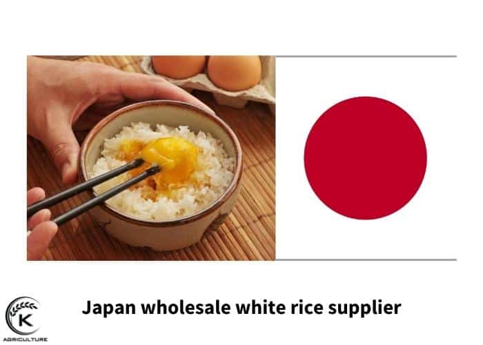 wholesale-white-rice-13.jpg