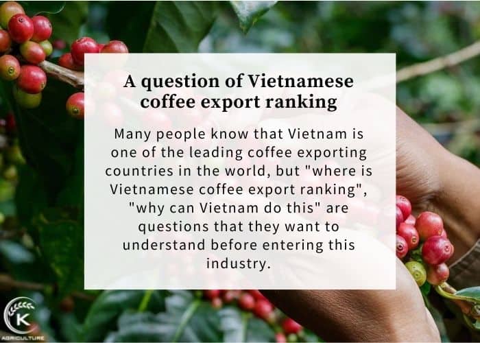 Vietnamese-coffee-export-ranking-1