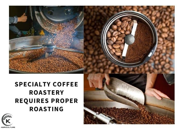 specialty-coffee-roastery-3