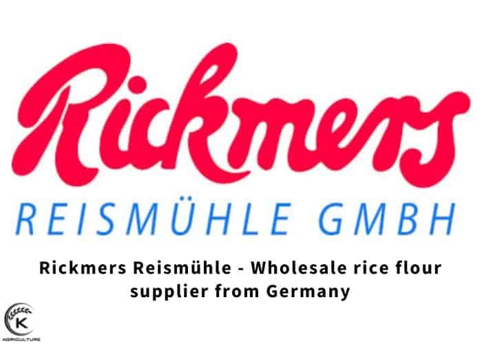 wholesale-rice-flour-8.jpg