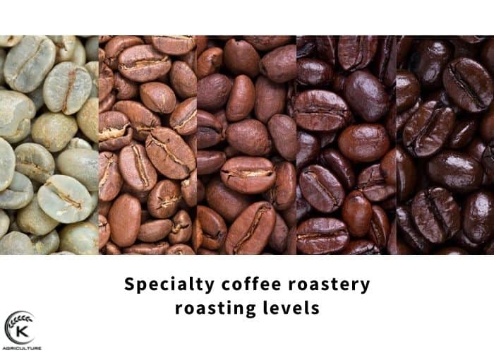 specialty-coffee-roastery-4