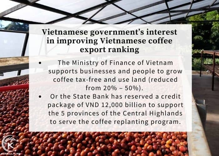 Vietnamese-coffee-export-ranking-5