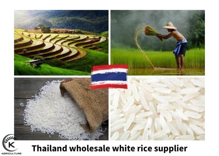 wholesale-white-rice-10.jpg
