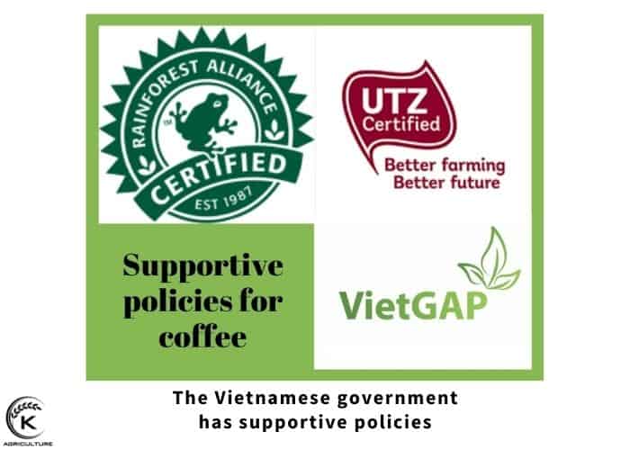 Vietnamese-coffee-wholesale-9