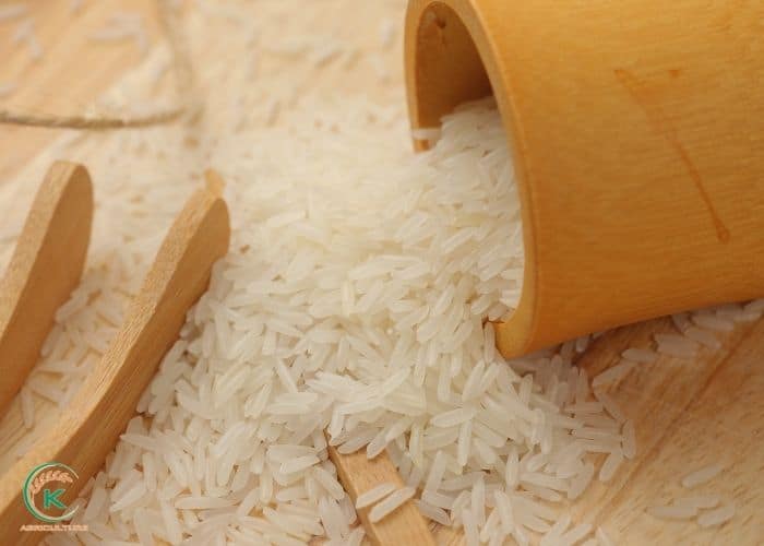 rice-wholesale-price-6.jpg