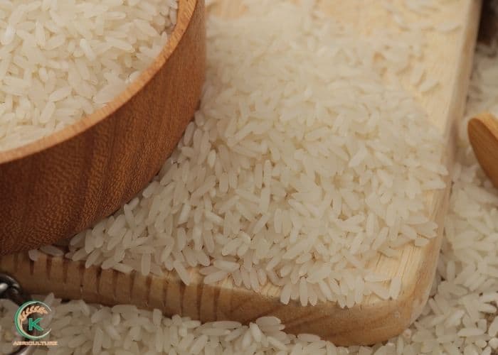 rice-wholesale-price-7.jpg
