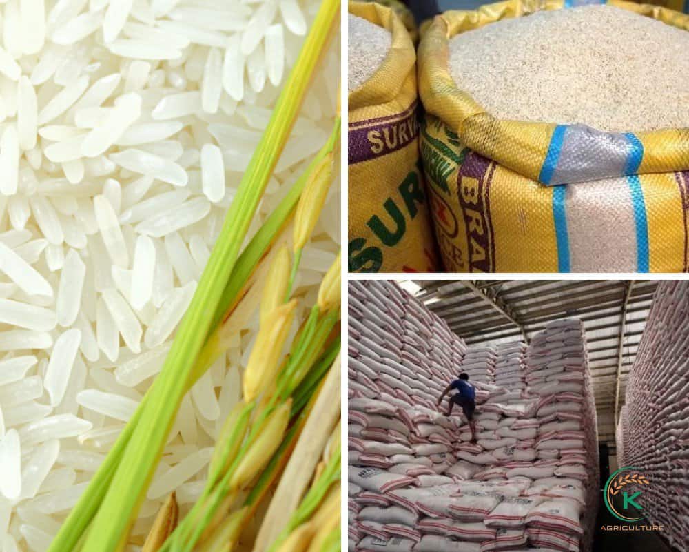wholesale-rice-suppliers-philippines-3.jpg
