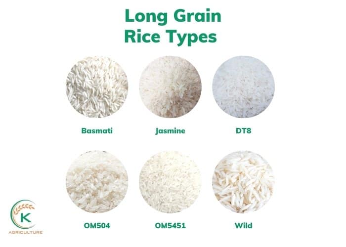 Long-Grain-Rice-Types-1