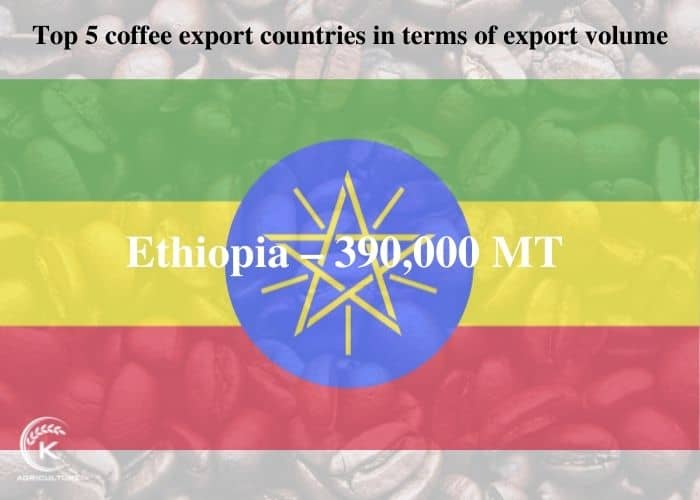 coffee-export-countries-14
