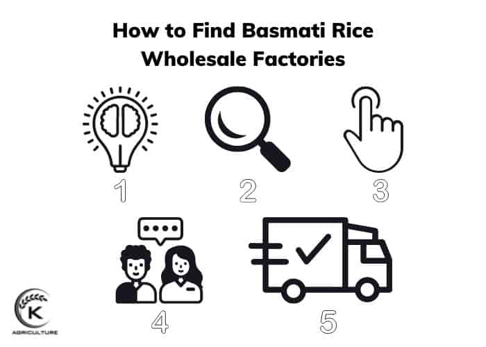 Basmati-Rice-Wholesale-6