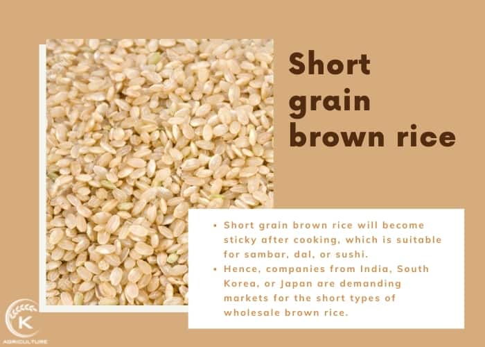 wholesale-brown-rice-3.jpg