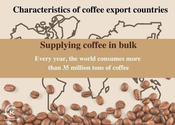 Top 10+ Leading Coffee Export Countries in the World and Their Export ...
