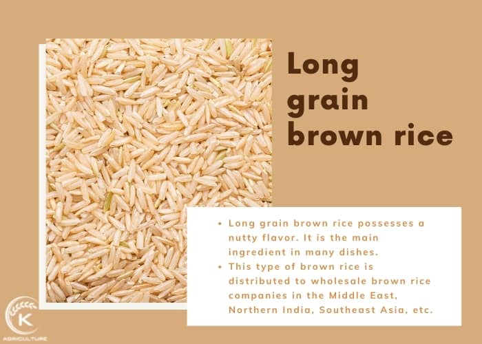 wholesale-brown-rice-5.jpg
