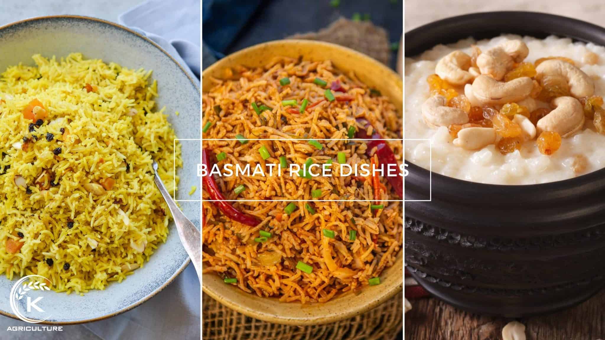 basmati-vs-jasmine-rice-9