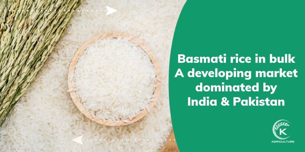 Demand Basmati Rice Basmati rice in bulk and interesting facts