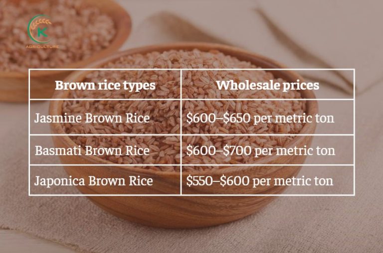 Brown Rice Market Brown Rice: Origins, Types, Benefits, Prices & Vietnam’s Leading Supplier