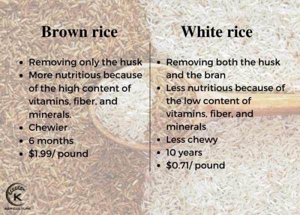 7 Interesting Differences Between Brown Rice and White Rice