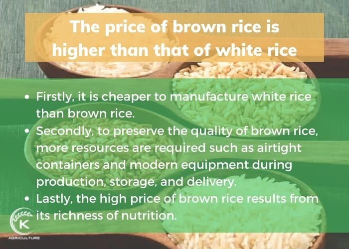 brown-rice-vs-white-rice-4