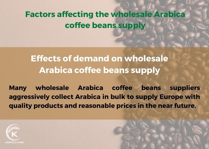 wholesale-arabica-coffee-beans-10