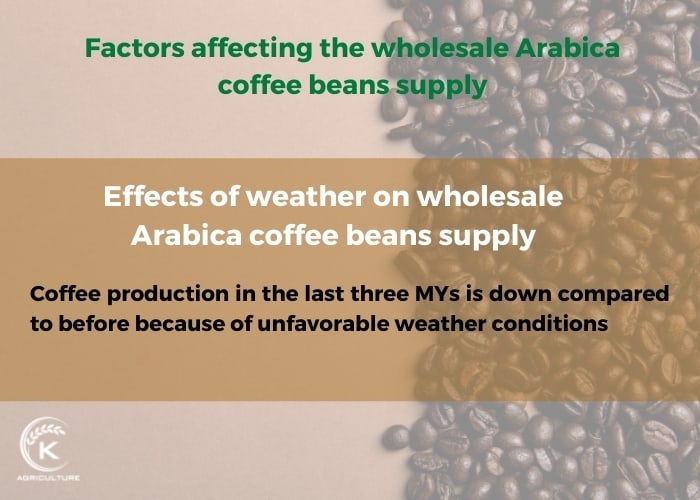 wholesale-arabica-coffee-beans-12
