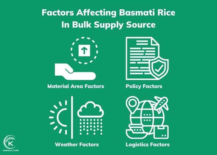 Basmati-Rice-Wholesale-7