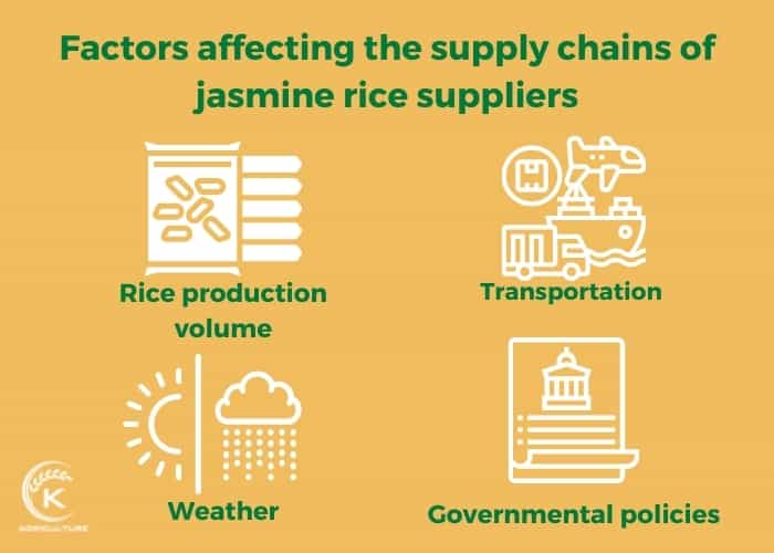 jasmine-rice-suppliers-6