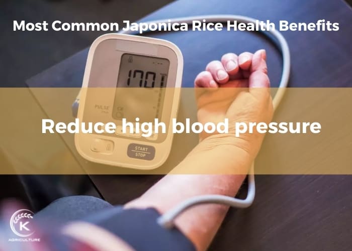 japonica-rice-health-benefits-4