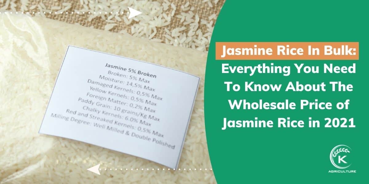 Maps Jasmine Rice Talking about Jasmine rice wholesale price