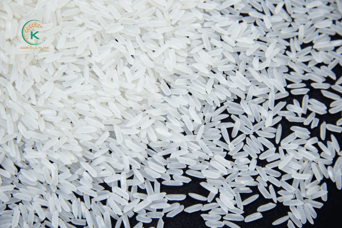 OM 5451 5% broken rice