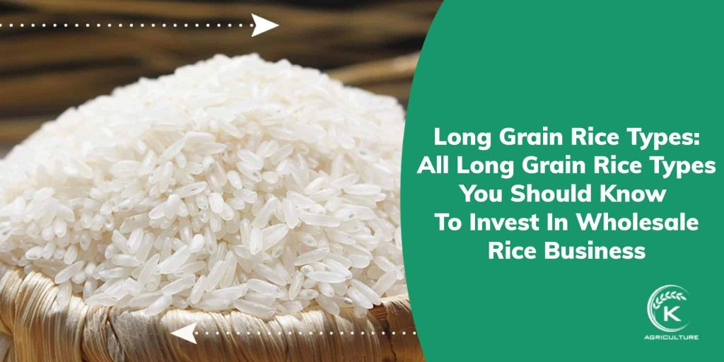 Longest Rice Type Top famous long grain rice types
