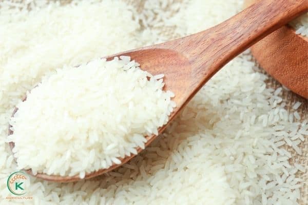 white-rice-in-bulk-3