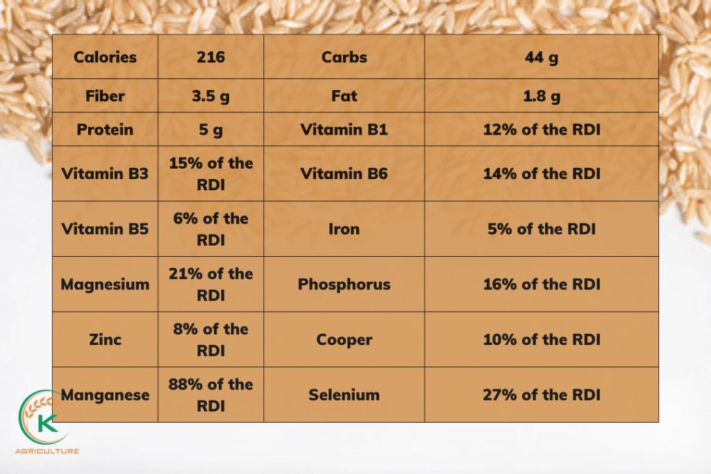 White Rice Contains 7 Interesting Differences Between Brown Rice and White Rice